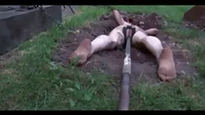 Akcja Fuck And Lick z kuszącą Demi Sutrą i Nicolette mokre cipki filmy Shea z Reality Kings